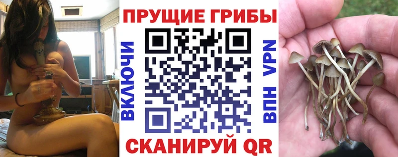 Галлюциногенные грибы Cubensis  Корсаков 